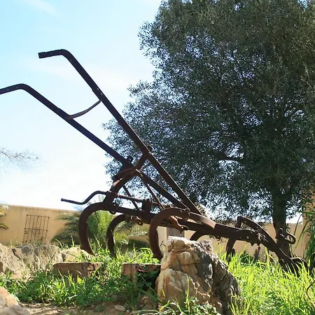 Lejlighed El Vuelo De La Libelula Barbate